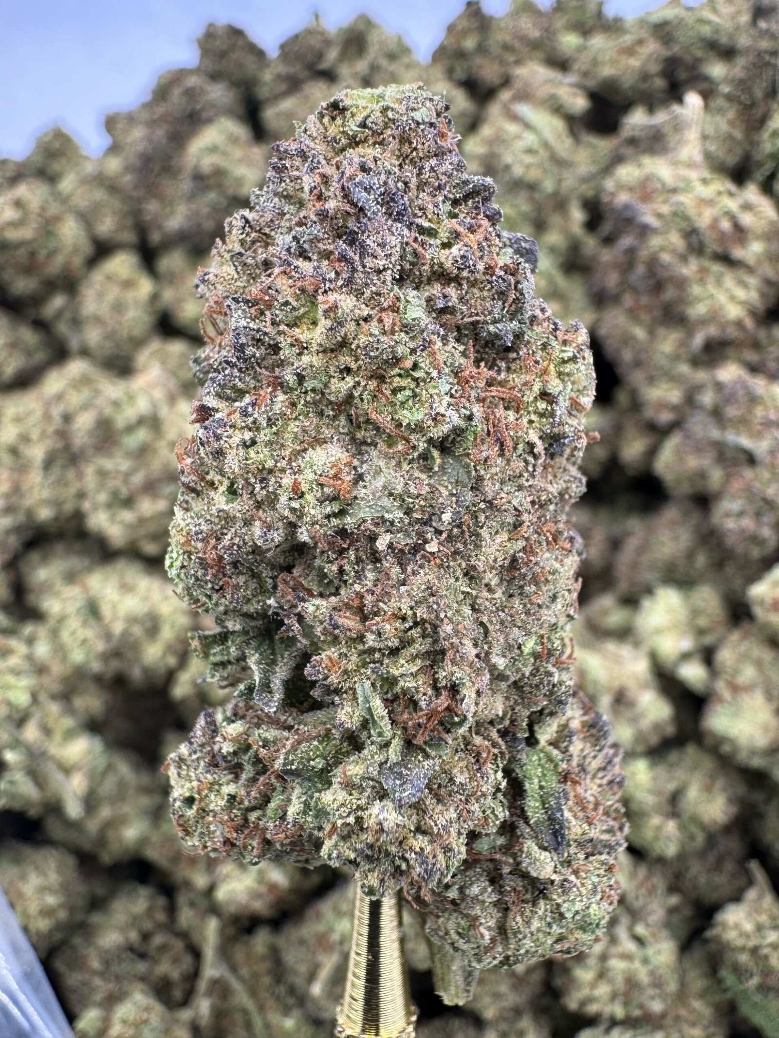 Wedding Cake – Bulk THCA Flower (Sungrown Pounds) 1 Wedding Cake – Bulk THCA Flower (Sungrown Pounds)