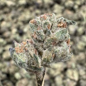 Wedding Cake – Bulk THCA Flower (Greenhouse Pounds)