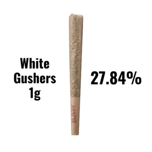 White Gushers – Bulk THCA Prerolls