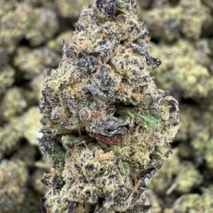 White Gelato – Bulk THCA Flower (Indoor Pounds)