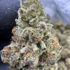 White Truffle – Bulk THCA Flower (Indoor Pounds)