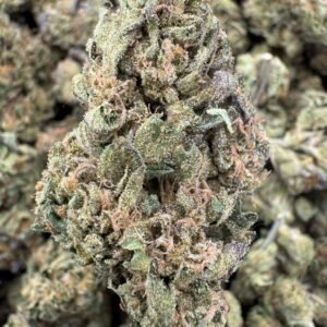White Truffle – Bulk THCA Flower (Sungrown Pounds)