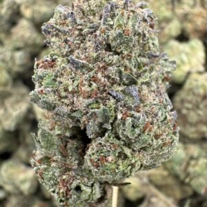 Zoap – Bulk THCA Flower (Greenhouse Pounds)