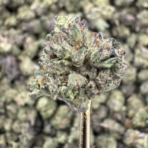 Zonuts – Bulk THCA Flower (Greenhouse Pounds)